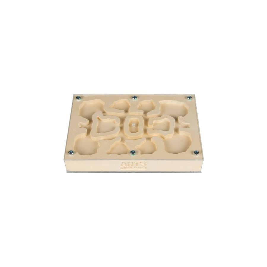 Side view ants kingdom master series gypsum antfarm