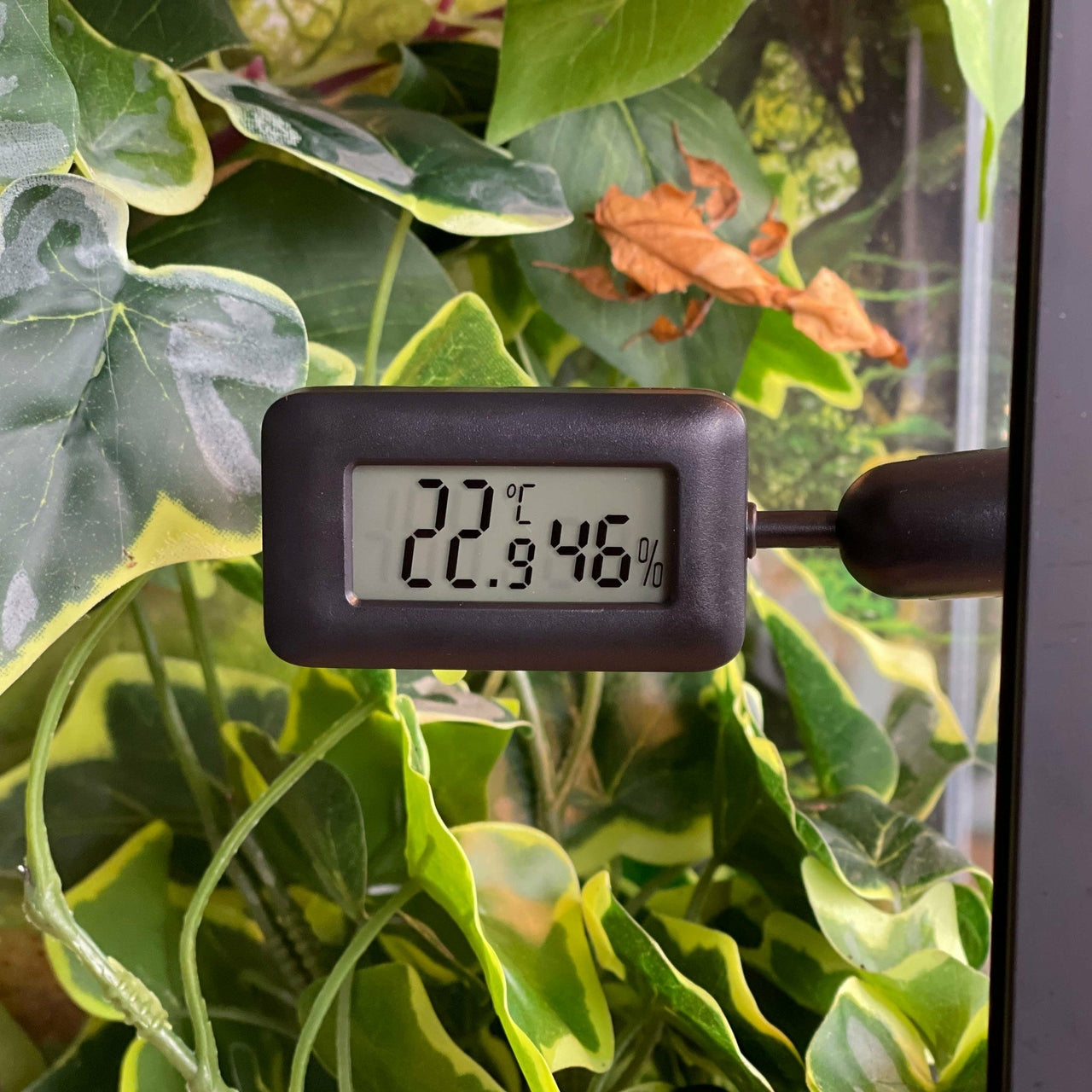 Meet temperatuur en vocht met 2in1 meter