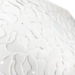 Mierenboerderij Acryl Galaxy 1 meter product closeup 3