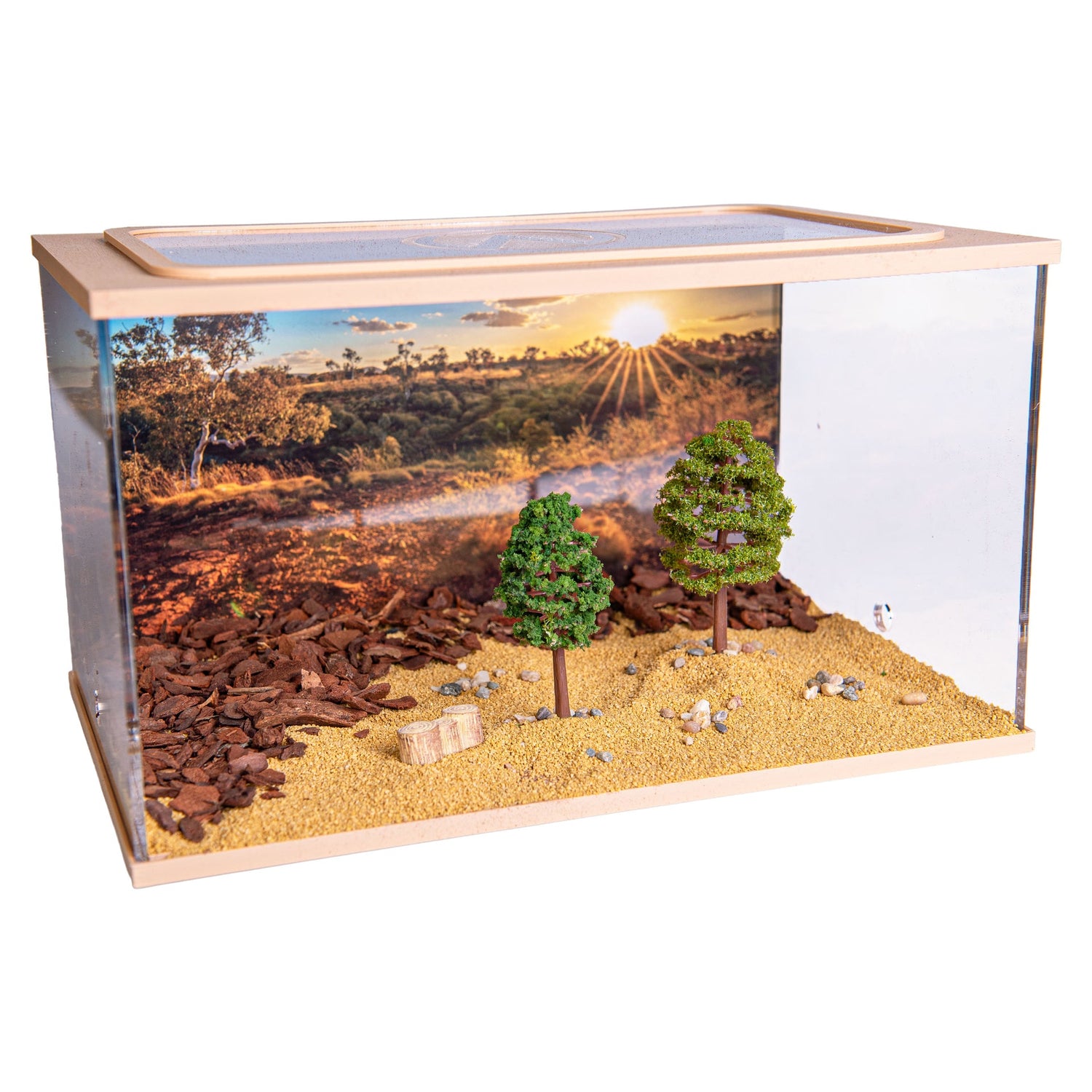 Capital Square Arena (25x16x15 cm)