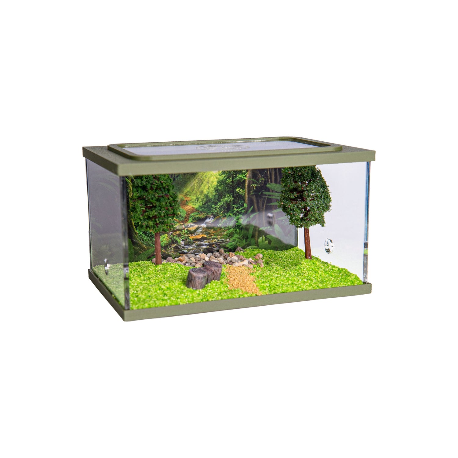 Town Square Arena (15x10x9 cm)