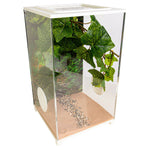 Hoofdfoto BioDome Terrarium 20x20x34