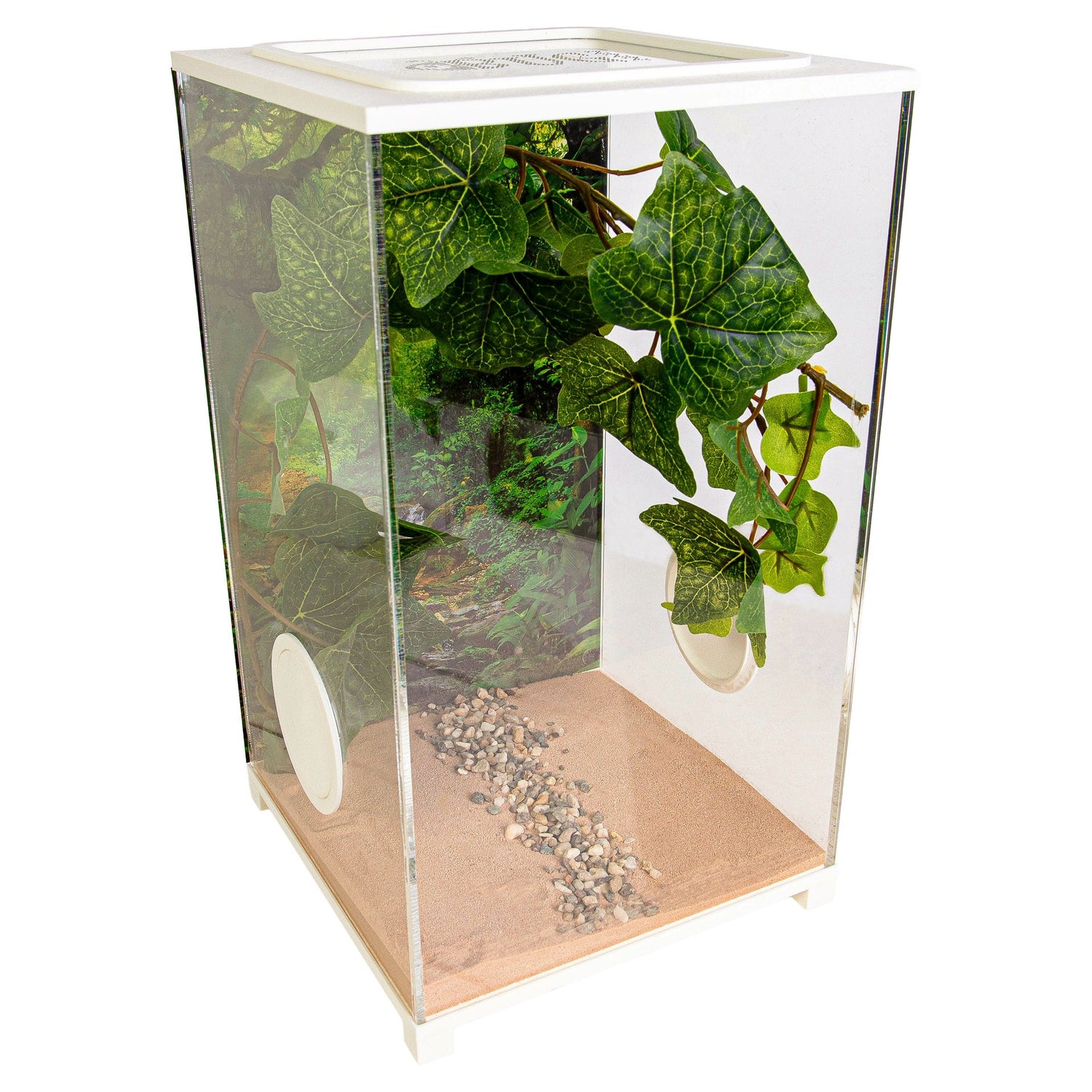 Hoofdfoto BioDome Terrarium 20x20x34