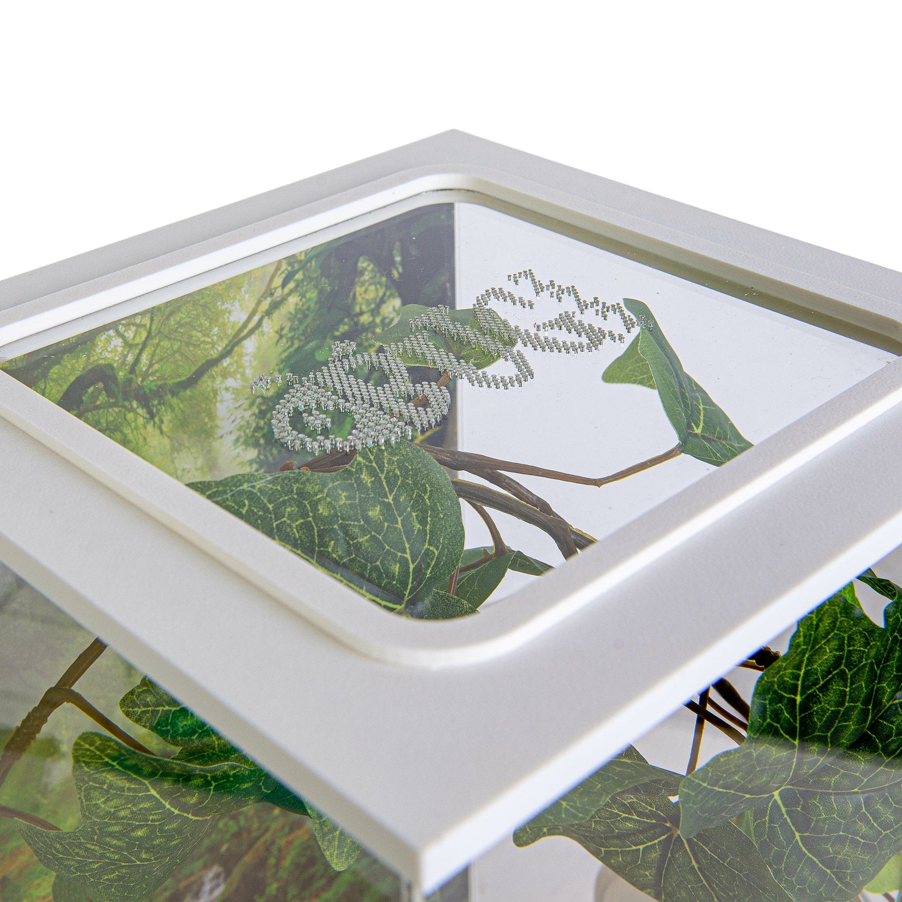 Deksel met ventilatie biodome terrarium inscten