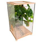 BioDome Bruin hoofdfoto terrarium
