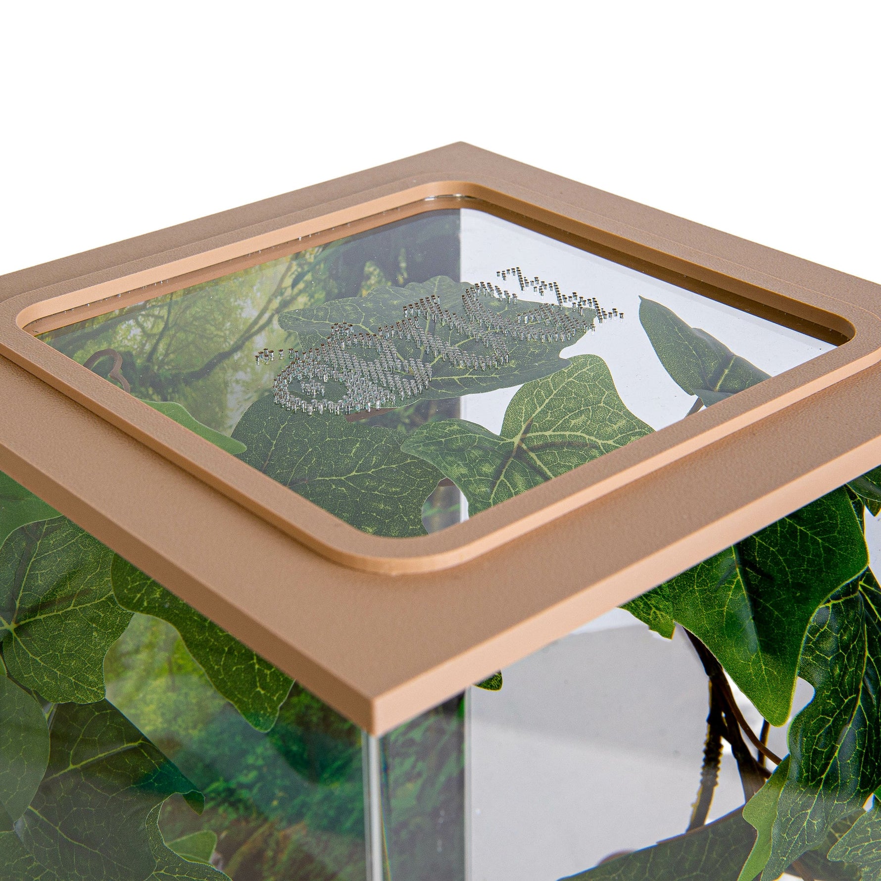 BioDome Insecten terrarium bruin - deksel ventilatie