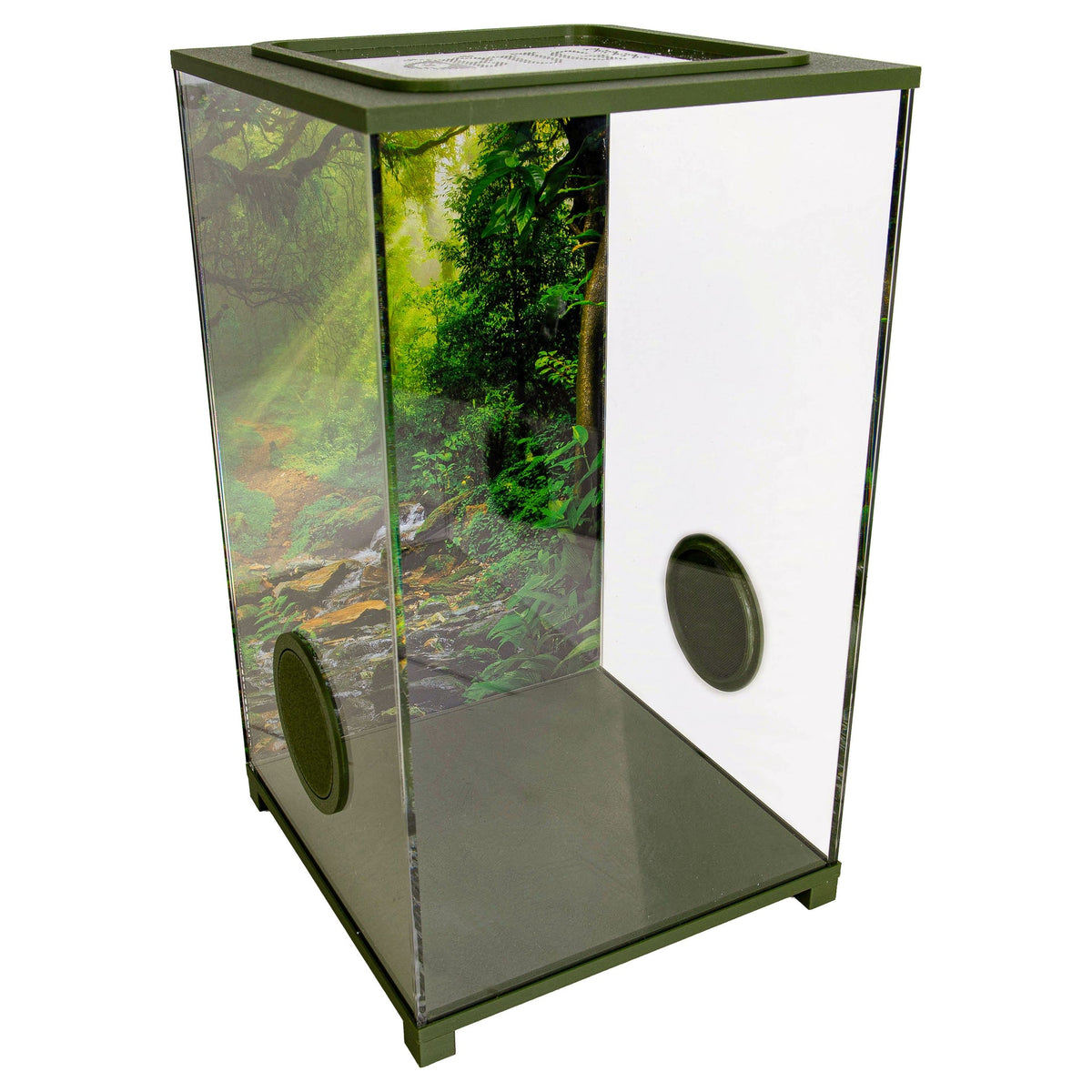 BioDome Insecten Terrarium backdrop foto