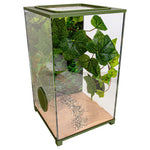 BioDome Insecten Terrarium hoofdfoto