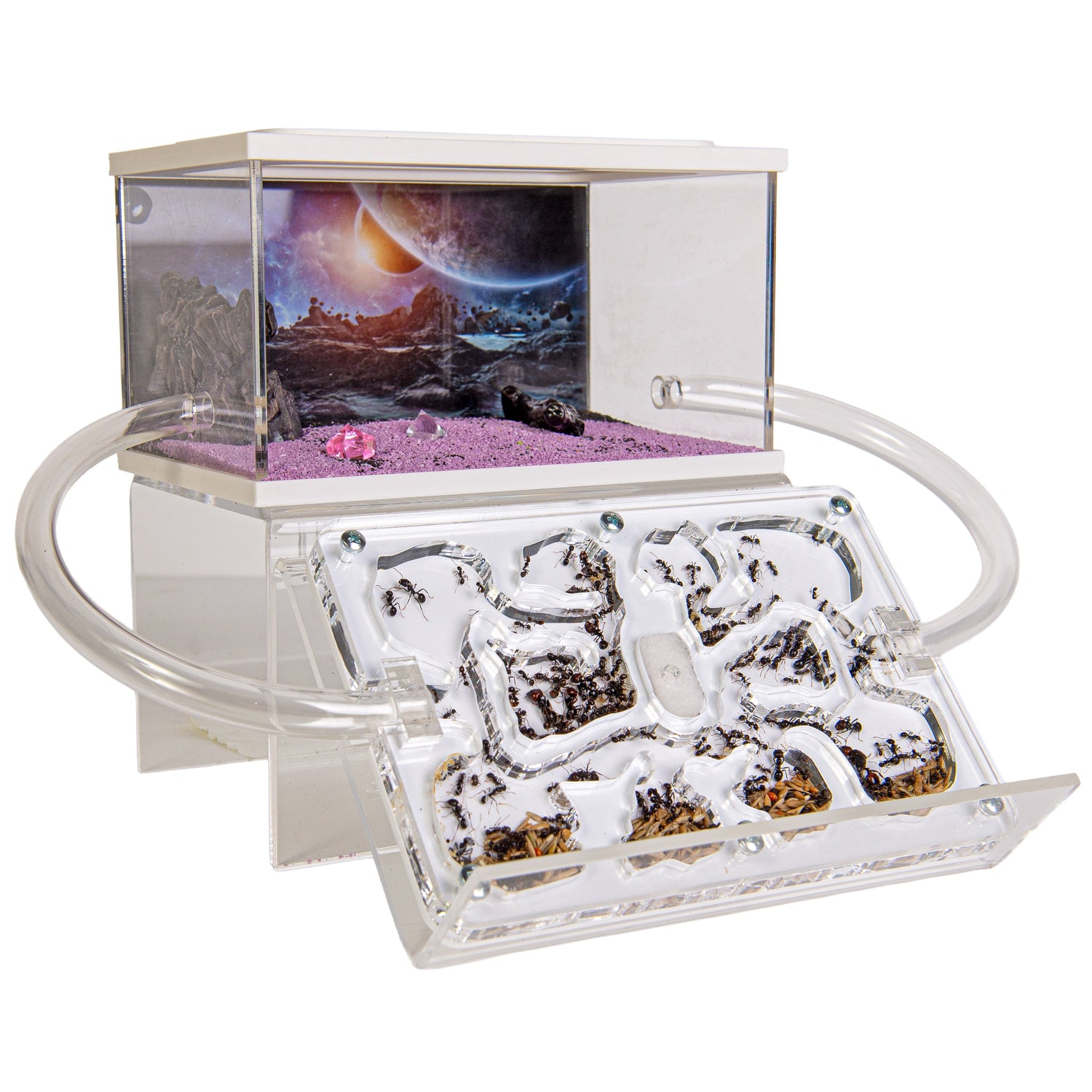 Mierenboerderij Acryl Startset – Zelf samenstellen