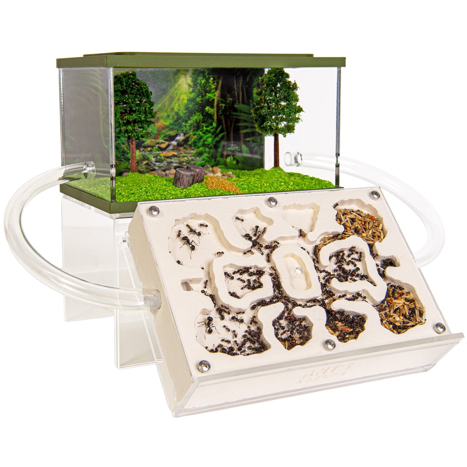 Ant-Blox Gypsum Core Block (Set) including ants