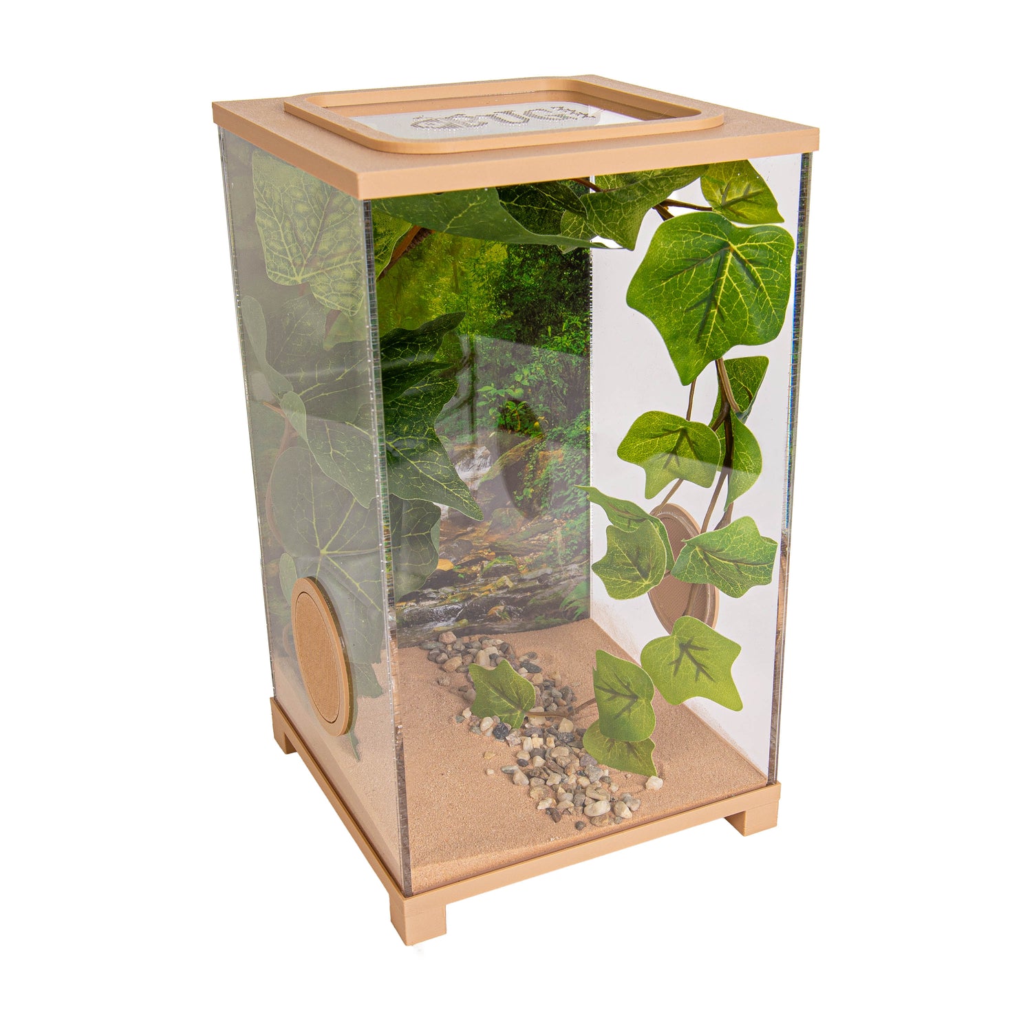 Praying Mantis Terrarium – BioDome (15x15x26 cm)
