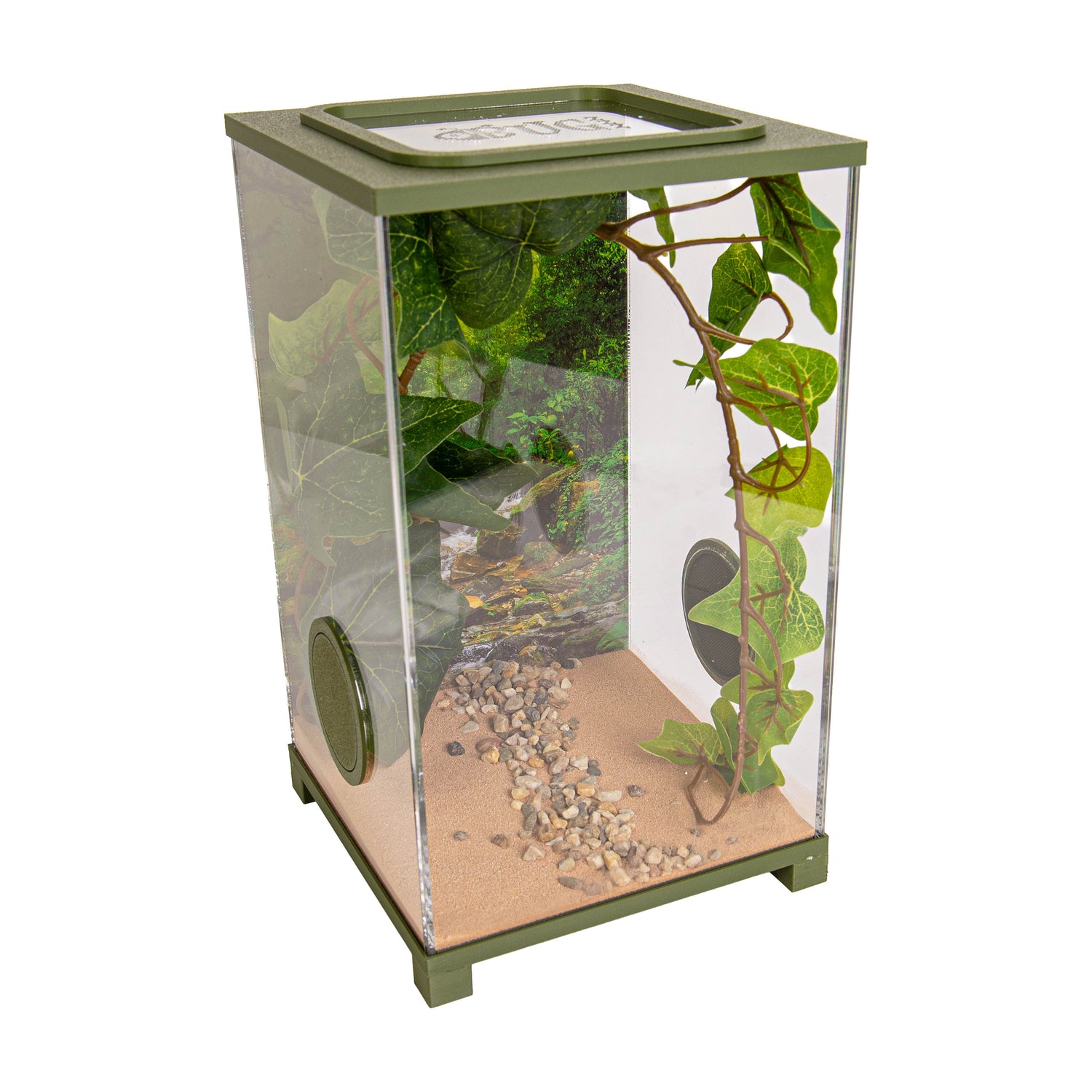 Praying Mantis Terrarium – BioDome (15x15x26 cm)