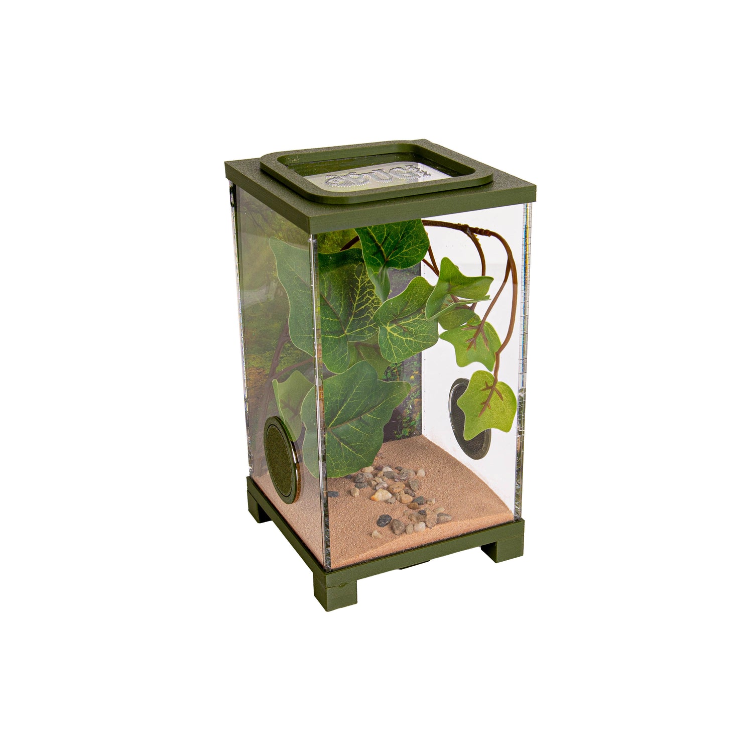 Inrichting Bio Dome - Jumping spider