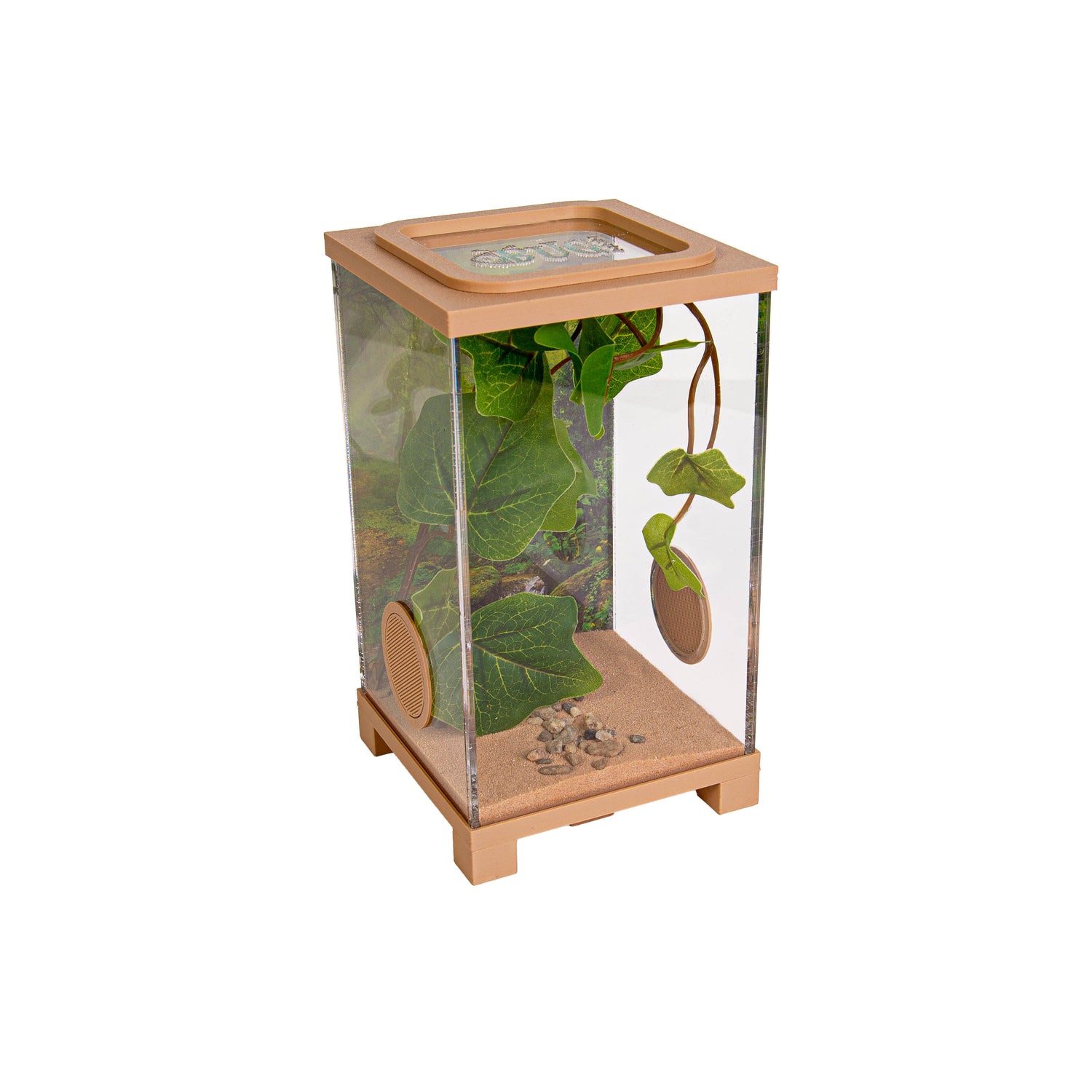 Jumping Spider Terrarium – BioDome (10x10x18 cm)