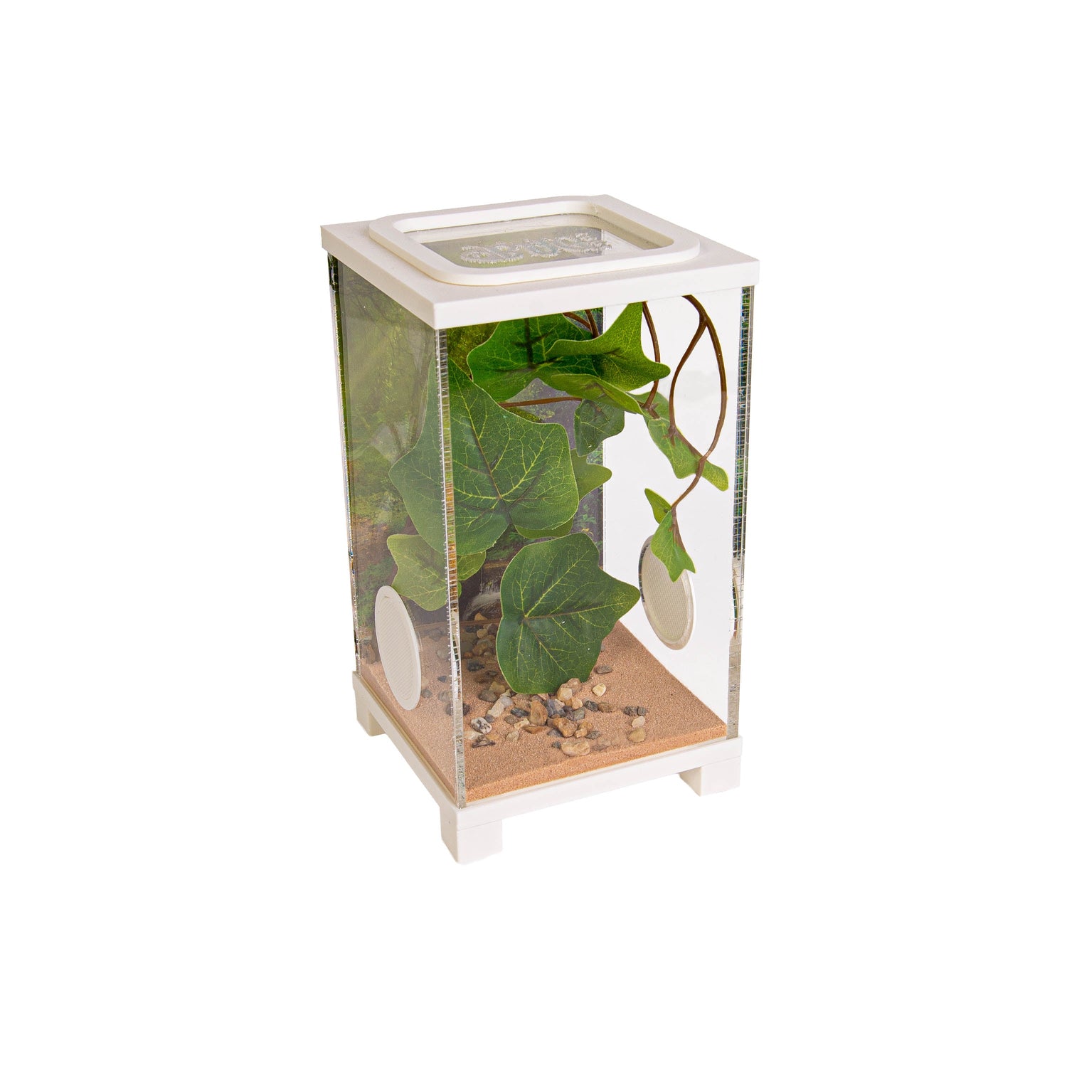 Jumping Spider Terrarium – BioDome (10x10x18 cm)
