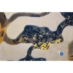 Close view ants gypsum set