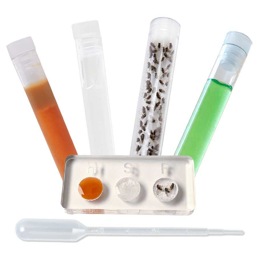 Voeding Set Deluxe -> all-in-one voedingspakket voor mieren