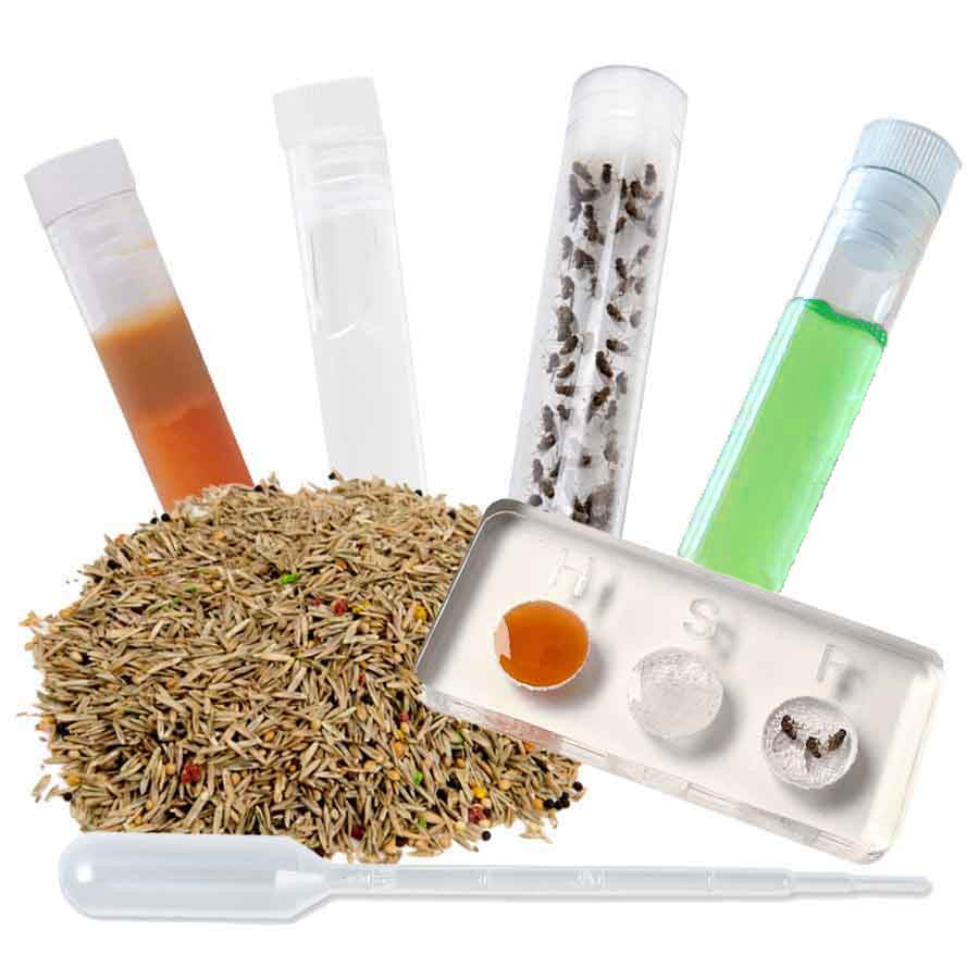 Voeding Set Deluxe inclusief zaden -> all-in-one voedingspakket voor oogstmieren